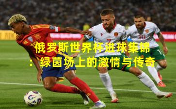 俄罗斯世界杯进球集锦:绿茵场上的激情与传奇